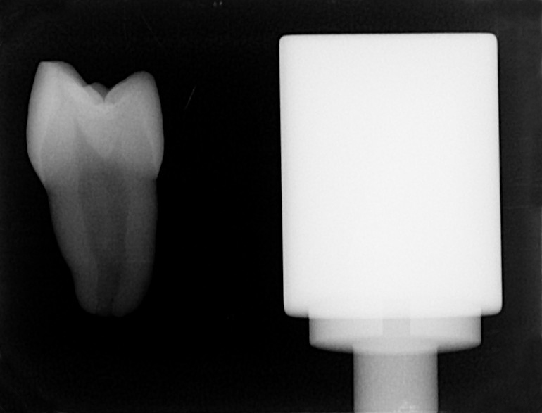 MAZIC Duro & Natural Teeth